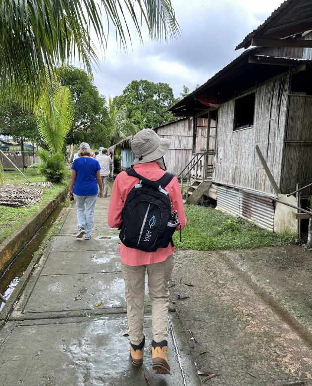 amazon river tours
