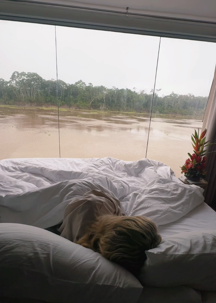 View from the aria hotel room on amazon river