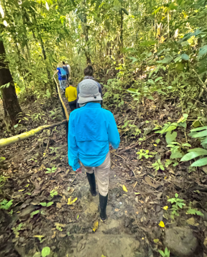 Afternoon Jungle Walk Amazon River