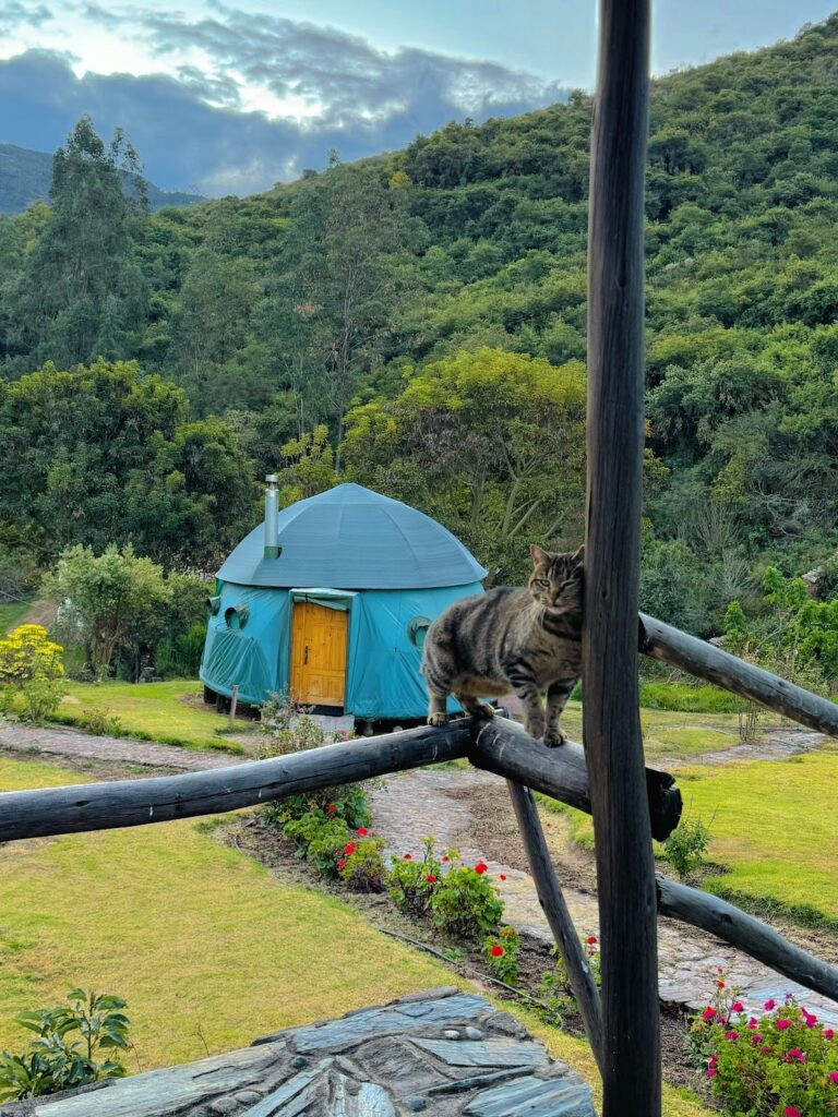 Humantay Lake Peru Eco Camp