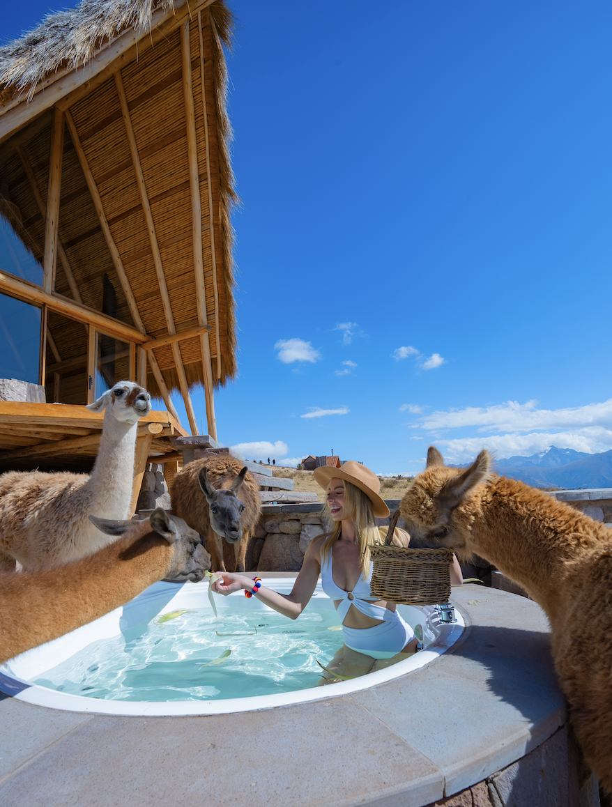 Sky feeding llamas while in a hot tub in the Sacred Valley