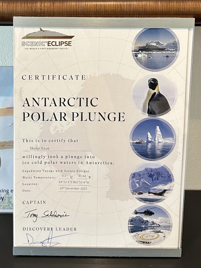 antarctic polar plunge certificate