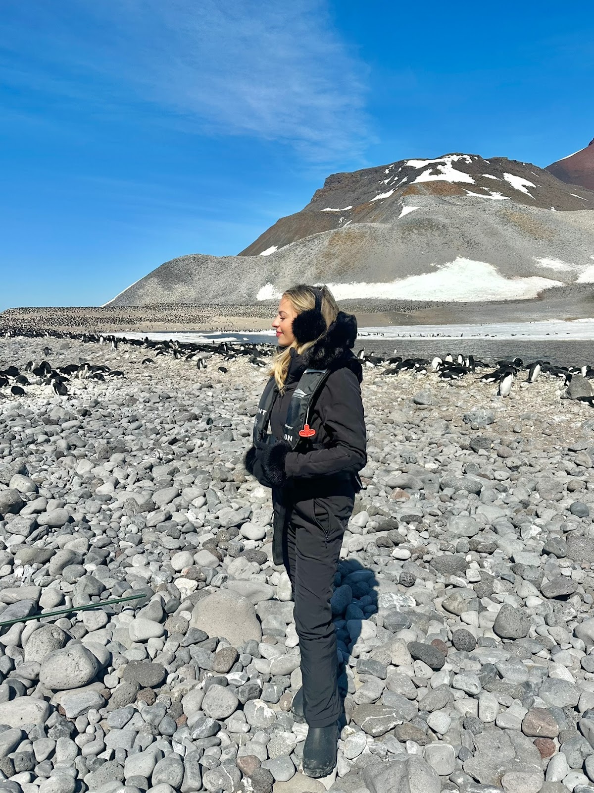 Sky in front of Adelie penguins on Paulet Island