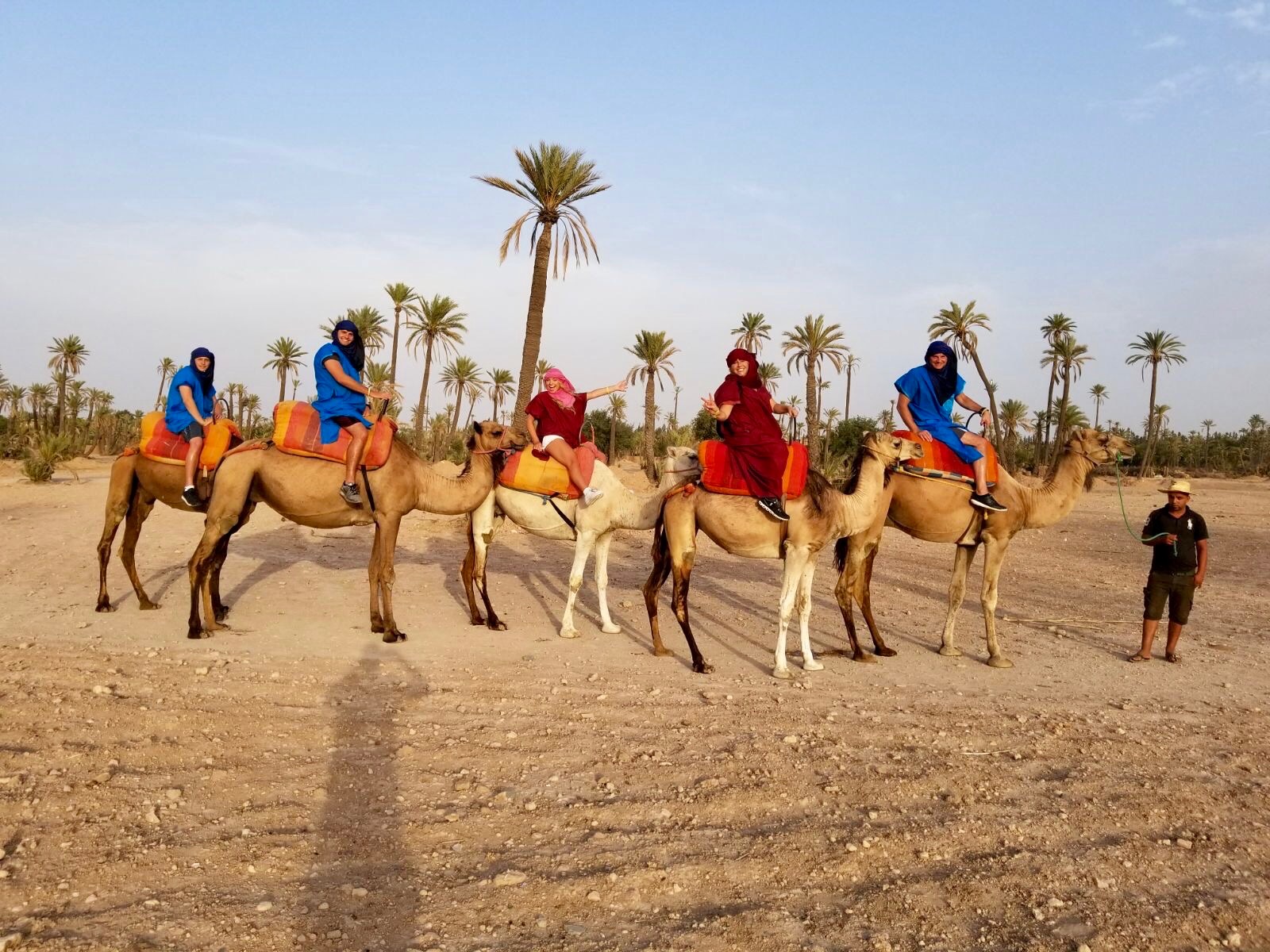 Sky camel trekking in the sahara desert