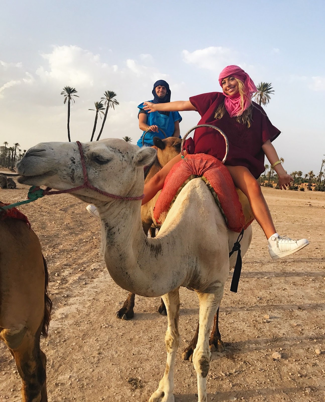 Sky camel trekking in the sahara desert