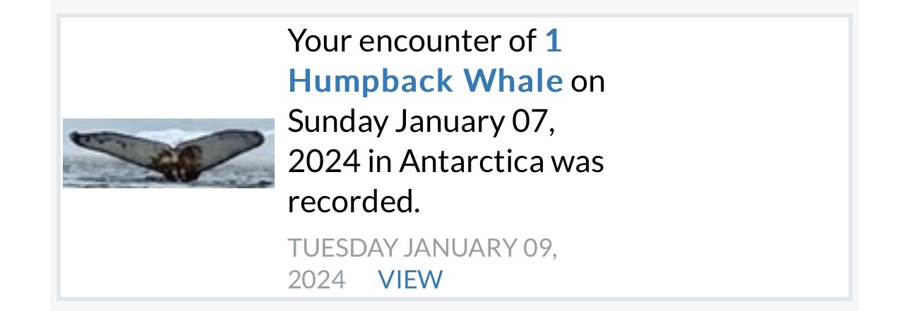 Your encounter of 1 Humpback Whale on Sunday January 07, 2024 in Antarctica was recorded.