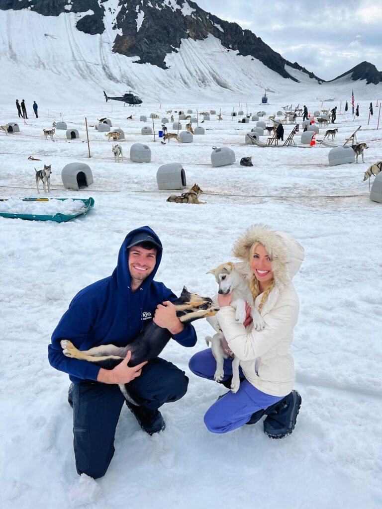 Sky with the dog sledding dogs in juneau alaska