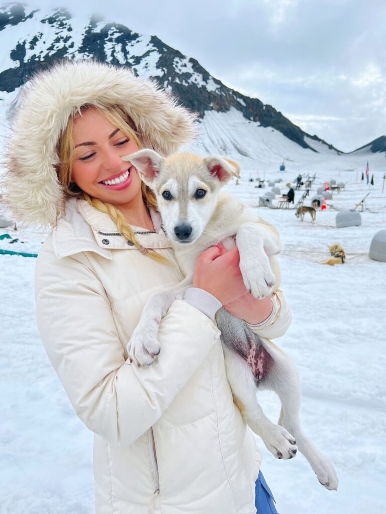 Sky with a dog sled dog in juneau alaska