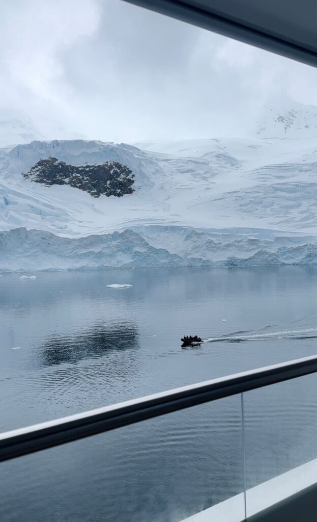 zodiac excursions in antarctica to view the glaciers and icebergs - view from the scenic eclipse II